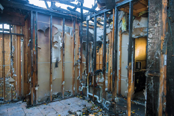 Professional Soot Cleanup technician working in Valrico, FL