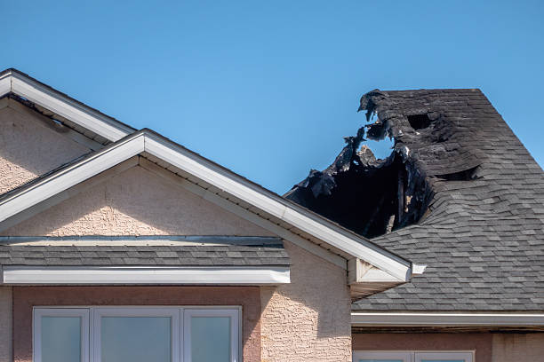 Top rated local Soot Cleanup specialists in Valrico, FL